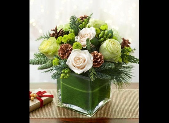 mail order roses climbing see gallery buying guide how to shop for mailorder flowers photos huffpost mail order roses climbing see gallery buying guide how to shop for mailorder flowers photos huffpost
