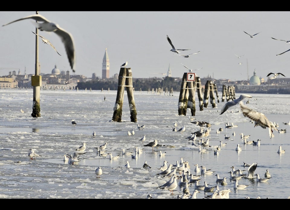 Venice