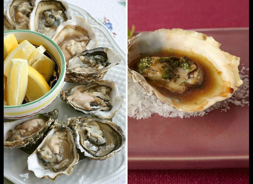 Oysters