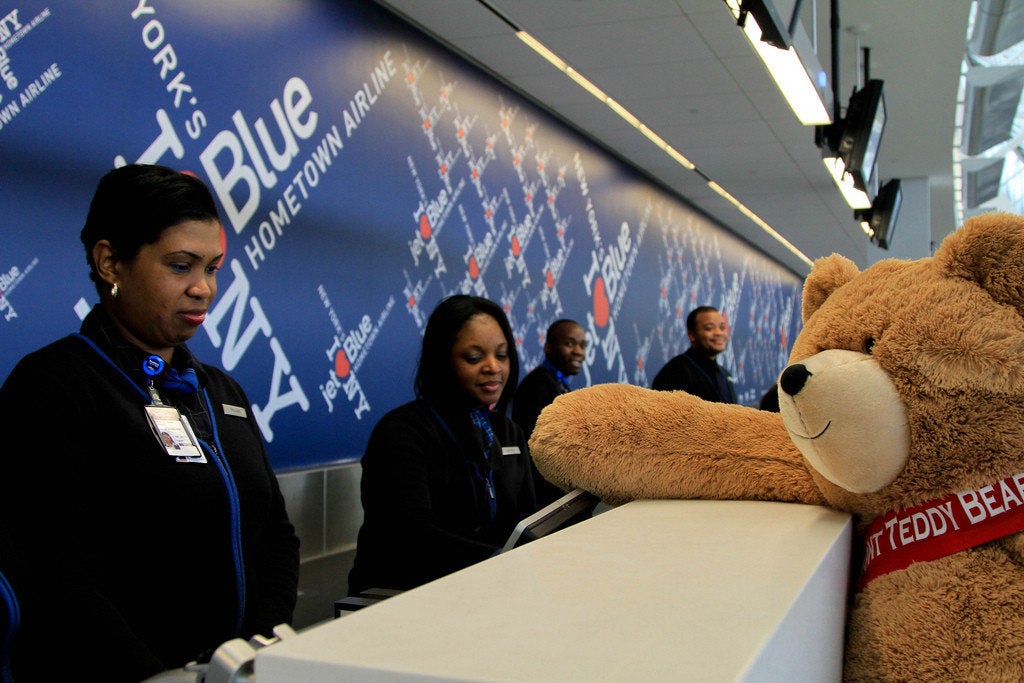 giant teddy bear on airplane