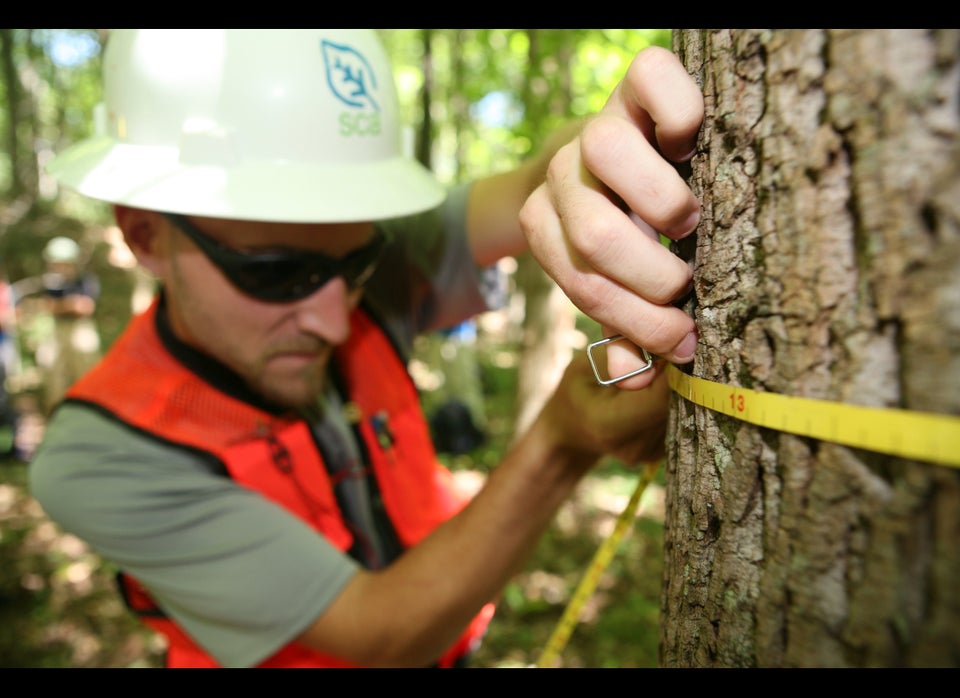 Most Well-Rested: Forest/Logging Workers