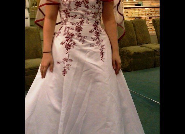 "David's Bridal Wedding Gown - Never Worn!" 