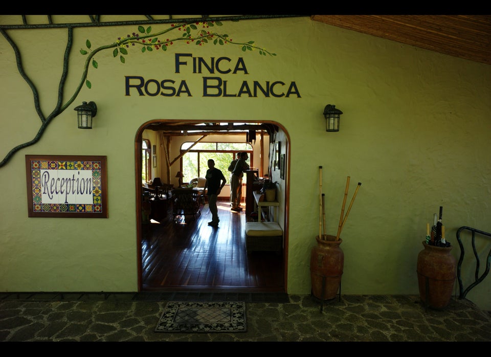 Finca Rosa Blanca