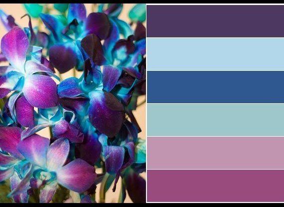 Sapphire Orchid Color Palette