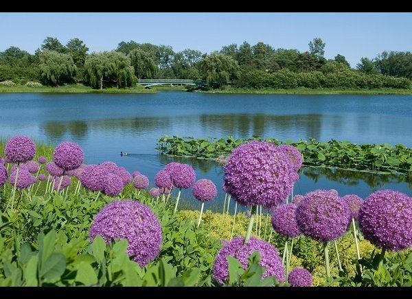 Chicago Botanic Garden