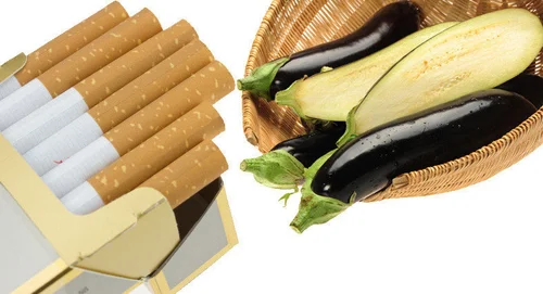 Nicotine In Vegetables: 20 Pounds Of Eggplant Equivalent To 1 Cigarette