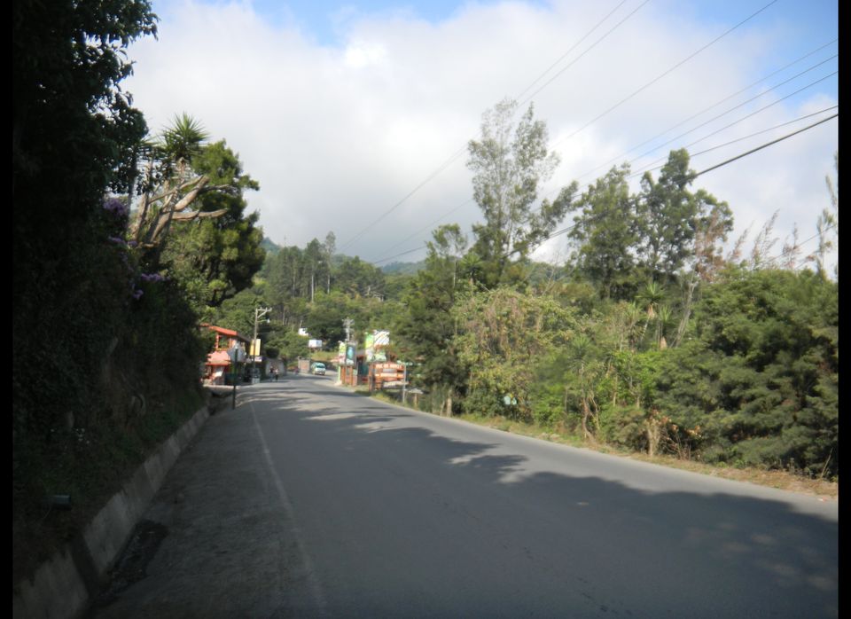 Walking Along the Monteverde Road