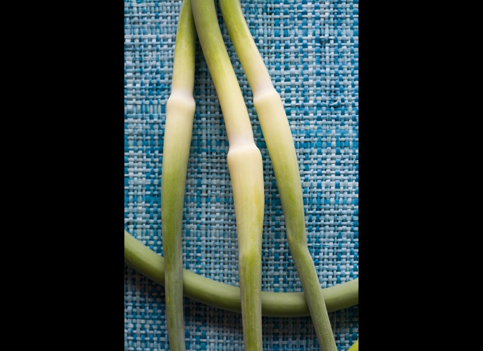 Garlic Scape