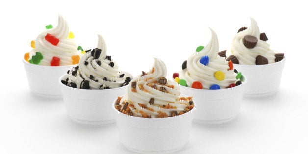 FROYO Frozen Yogurt Business Package