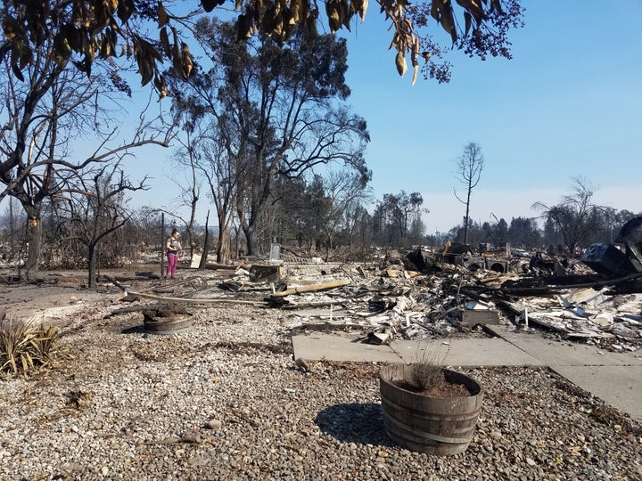 Mellissa Edney with her 16-month-old daughter strapped to her back overlooking the spot where her house used to stand in the Coffey Park neighborhood of Santa Rosa, California, in October 2017.
