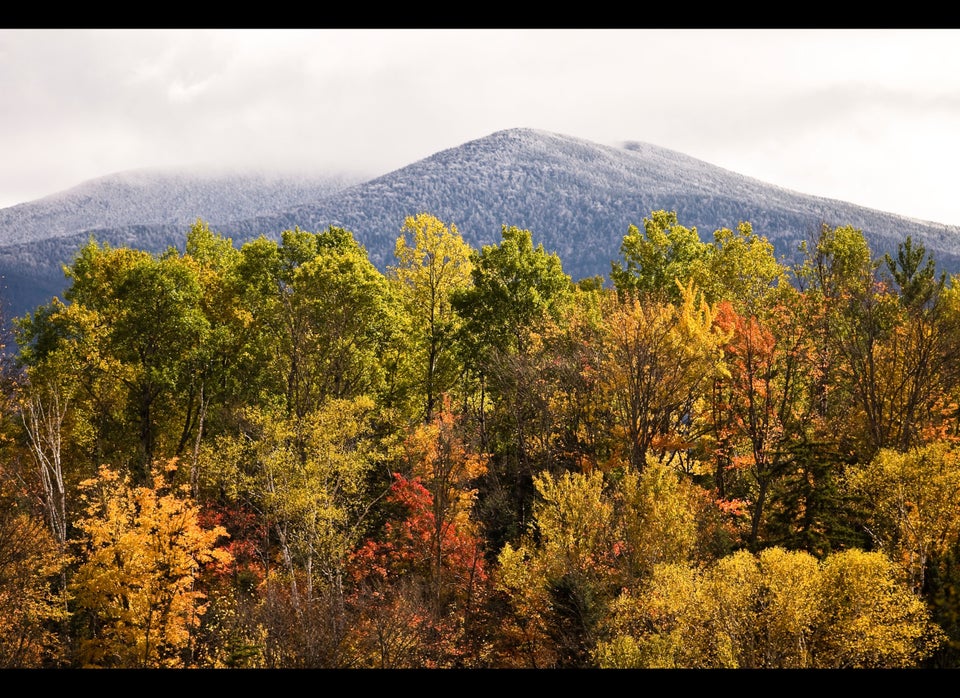 1. New Hampshire