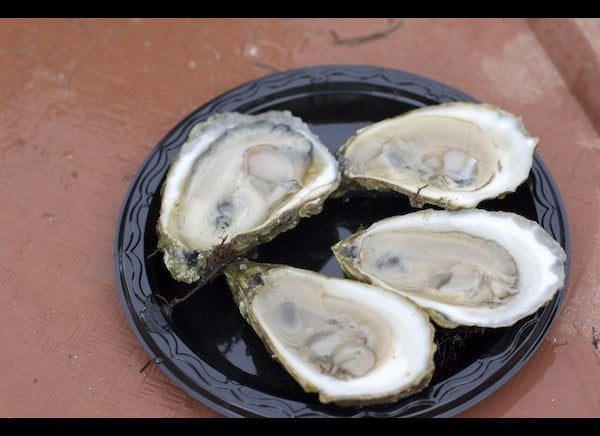 Wellfleet Oysters from Wellfleet, MA - Island Creek Oysters