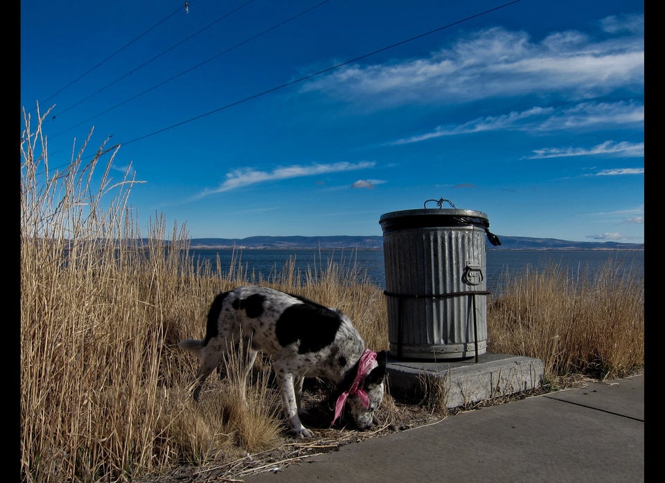 1. Taking Out The Trash.