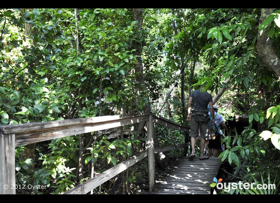 Do: Hike the Lucayan National Park 