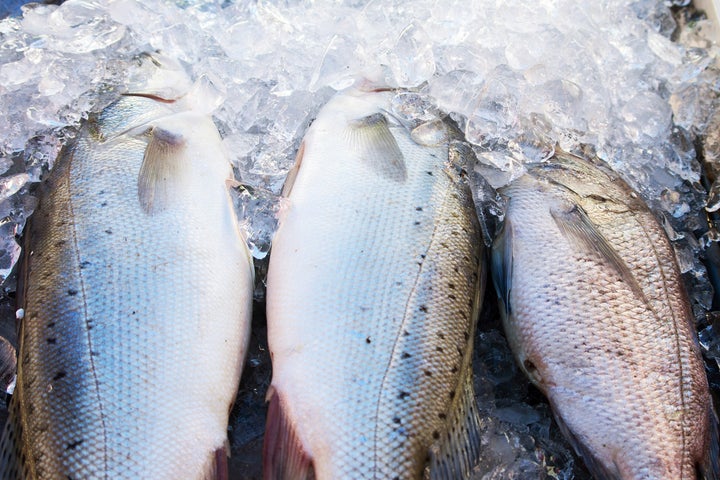 fresh fish on ice decorated for ...