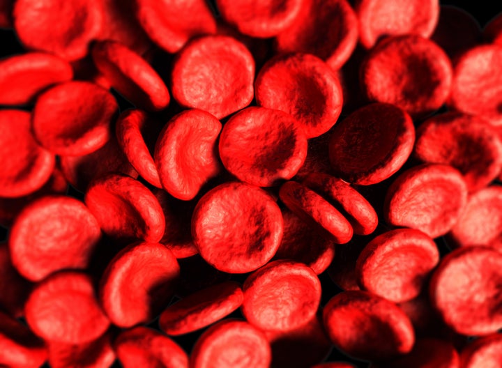 red blood cells