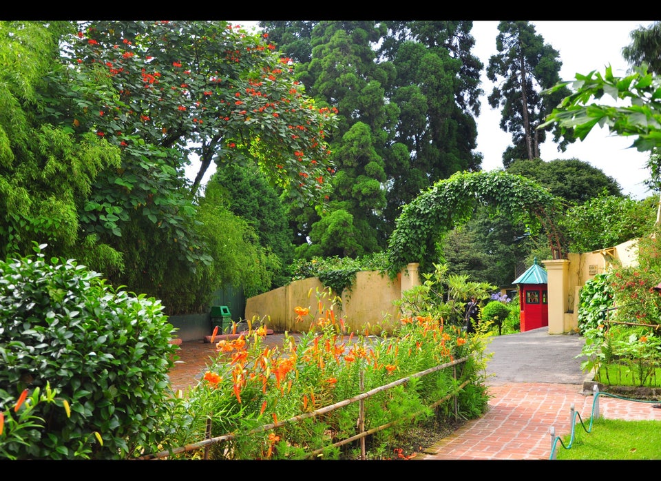 An English garden in the Himalayas