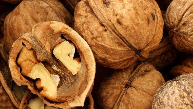 macro view of walnut