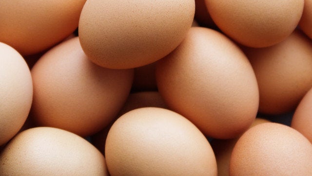 background from chicken eggs