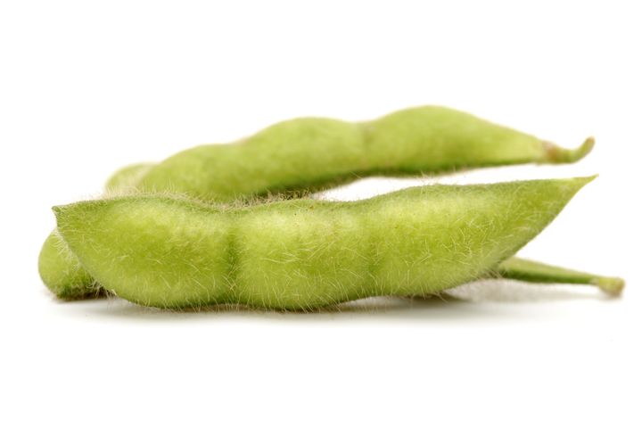 green soy bean on white...