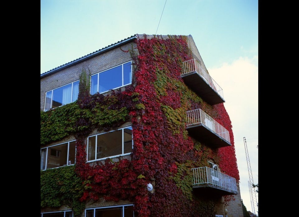 Aarhus University, Aarhus, Denmark