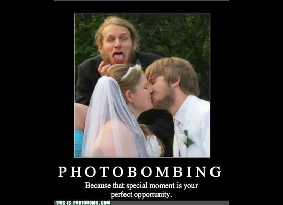 Wedding Photobomb: Couple Gets Photobombed By Cuddly Sloth (PHOTO) | HuffPost Life Wedding Photobomb: Couple Gets Photobombed By Cuddly Sloth (PHOTO) | HuffPost Life