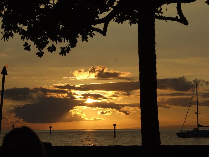 Description 1 Golden sunset in Lahaina, Maui, Hawaii. Silhouette of a tree and a sailboat. | Source | Author JRaber | Date 2008-07-14 ... 