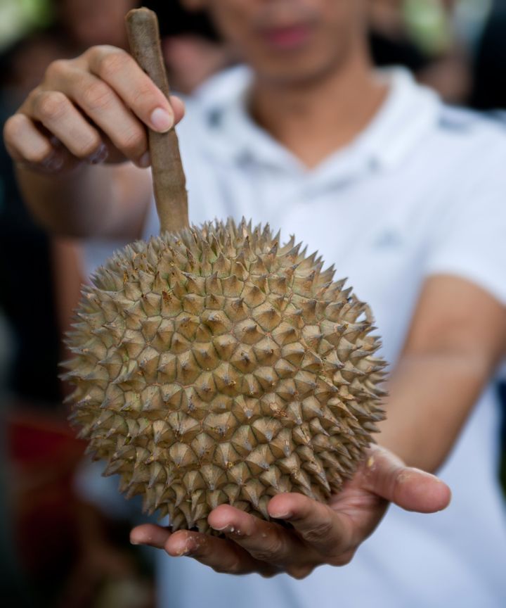durian the kind of fruits....