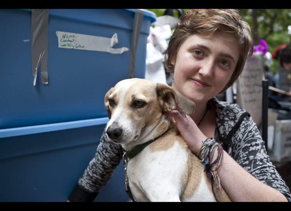 Dogs of Occupy Wall Street