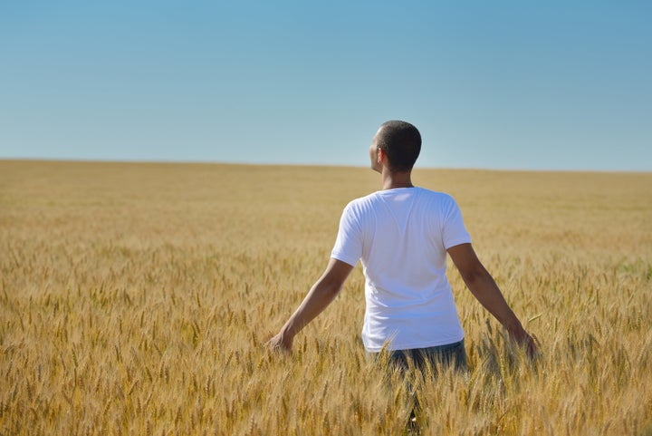 young man in wheat field...