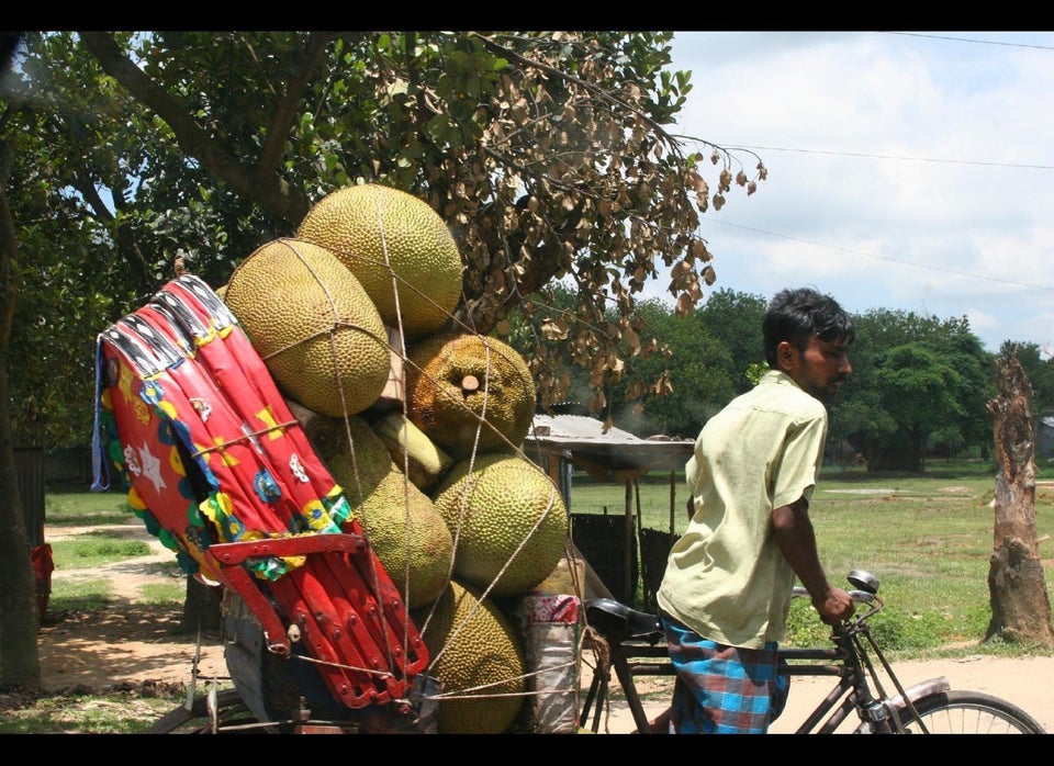 Jackfruit