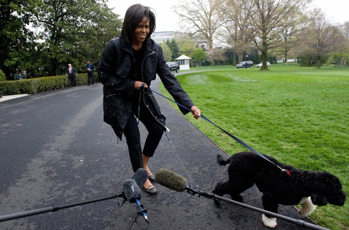 Bo Obamas First 10 Days In Office Why Having A Puppy In The White House May Be More Complicated Than Foreign Policy Huffpost Life