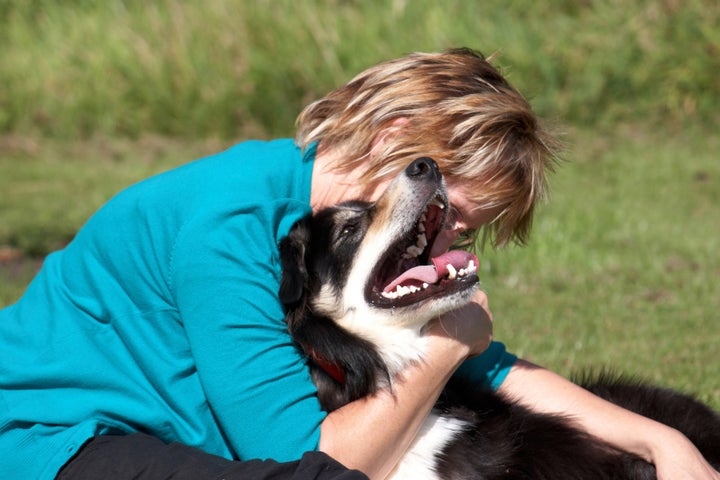 a border collie and the owner...