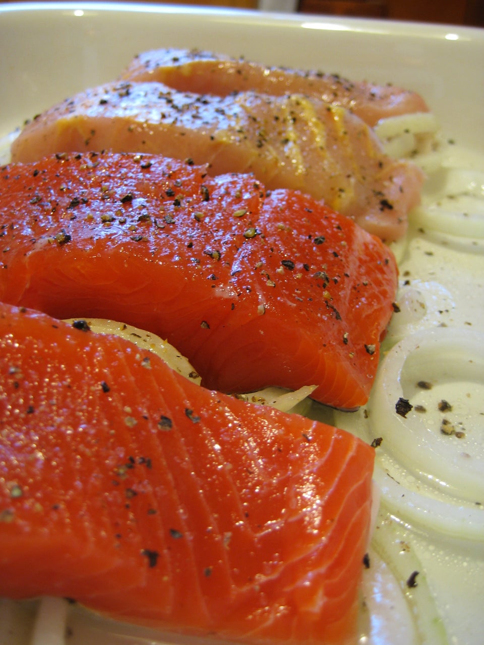 Salmon