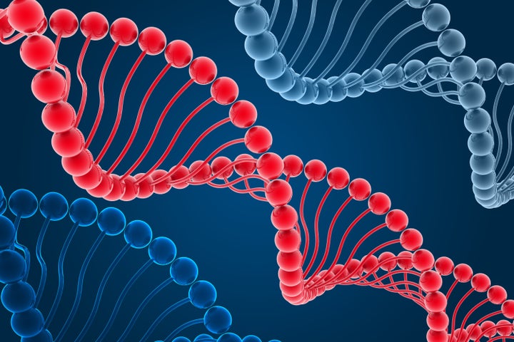 dna structure