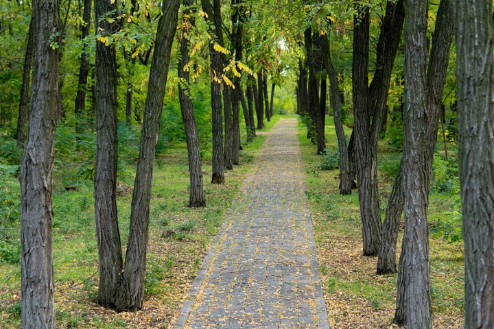 deserted paved stone path...