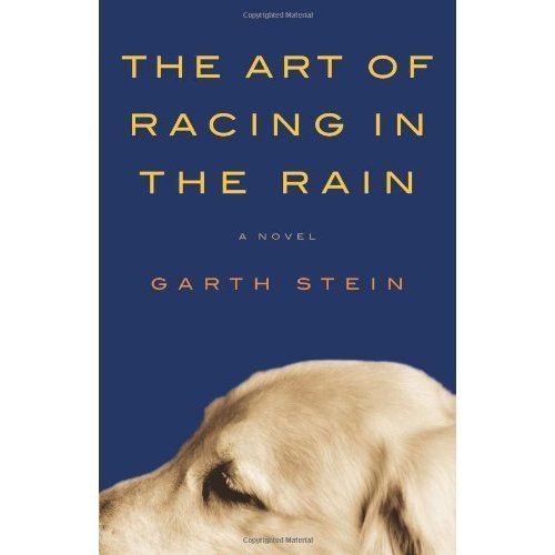 'The Art Of Racing In The Rain'