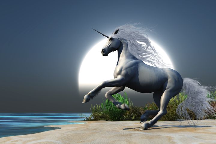 midnight unicorn a magical...