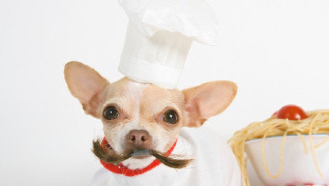 Pets In Chef's Hats Are Cute, But So 