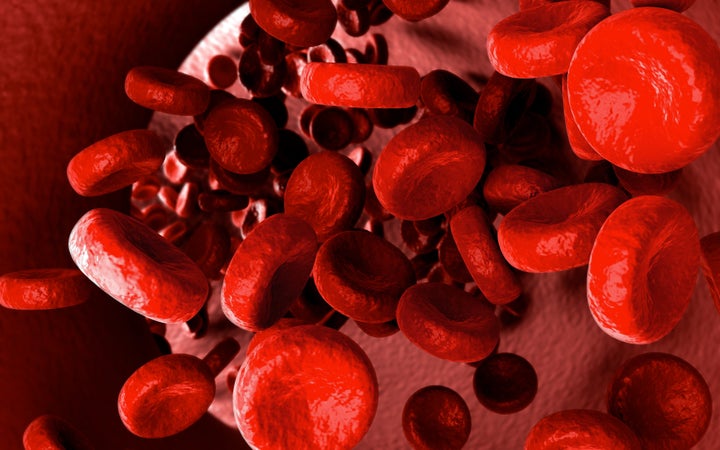 streaming blood cells inside of ...