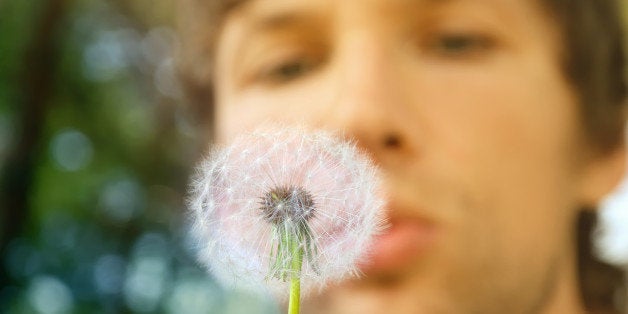 dandelion and man on background ...