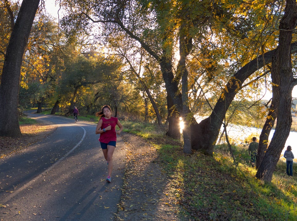 1. Cardiovascular Endurance