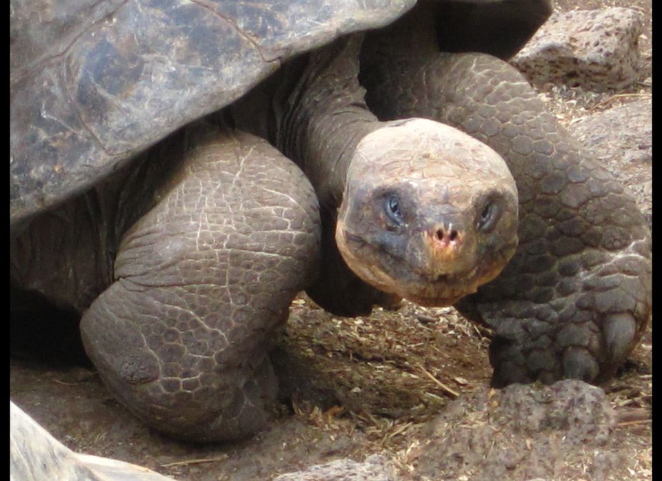 Galapagos Islands for 35,000 miles