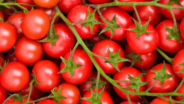 Healthy tomatoes background