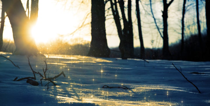 snow in the woods sparkling in...