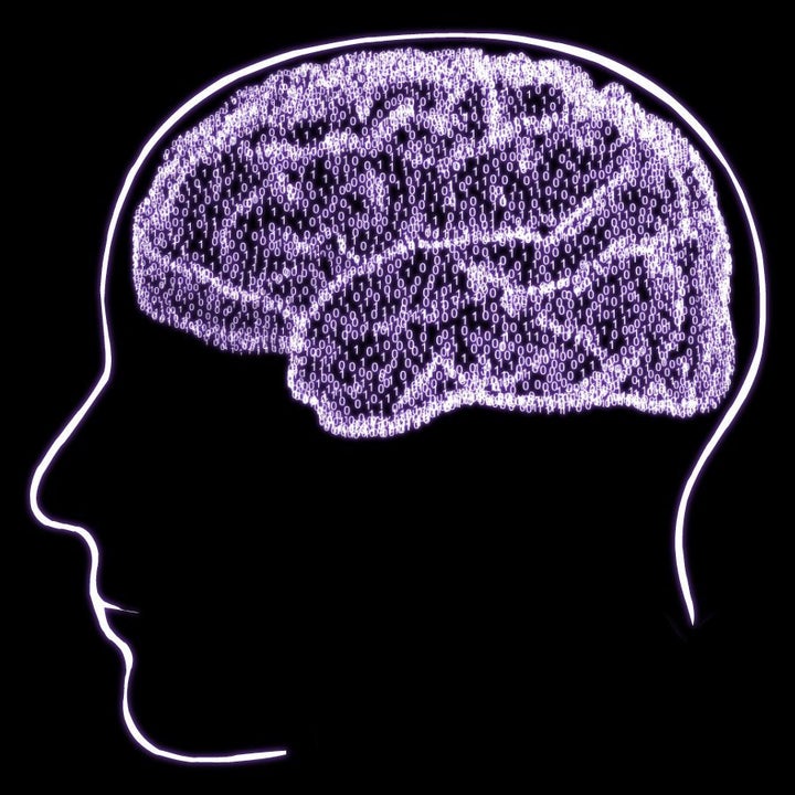 Neurosciences. Here are some images related to neurosciences. Some have been used for conferences. Copyright (c) 2003 Nicolas P. Rougier ...