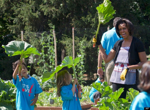 Grow Your Own Food