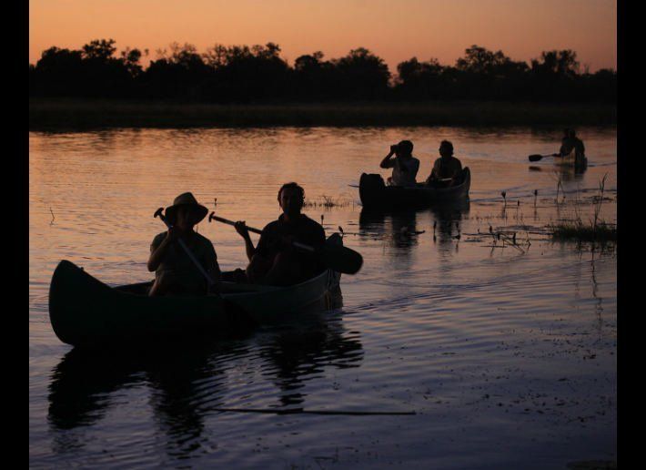 Botswana: Safari By Paddle
