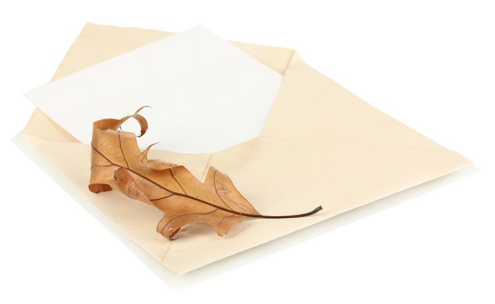 old envelope with blank paper...