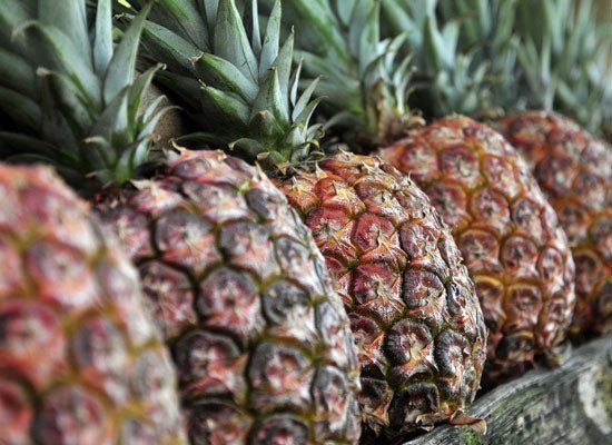 When it comes to pineapple, look for a golden color and sweet scent.